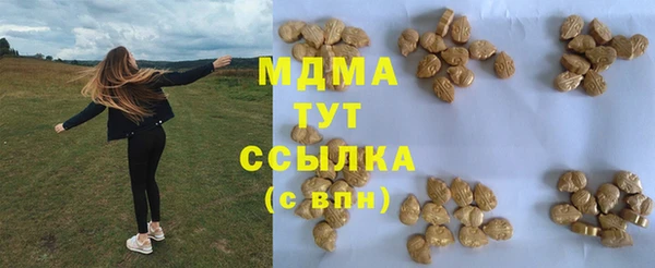ГАЛЛЮЦИНОГЕННЫЕ ГРИБЫ Ельня