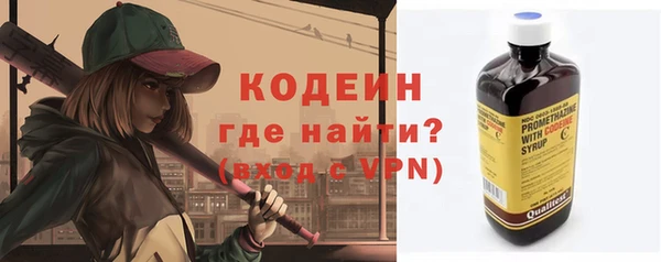 ГАЛЛЮЦИНОГЕННЫЕ ГРИБЫ Ельня