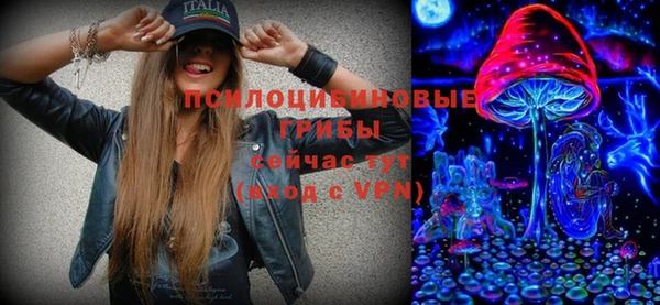 ГАЛЛЮЦИНОГЕННЫЕ ГРИБЫ Ельня