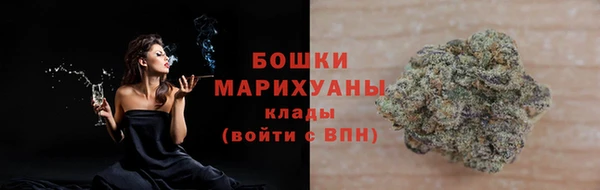 ГАЛЛЮЦИНОГЕННЫЕ ГРИБЫ Ельня