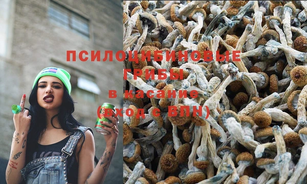 spice Елабуга
