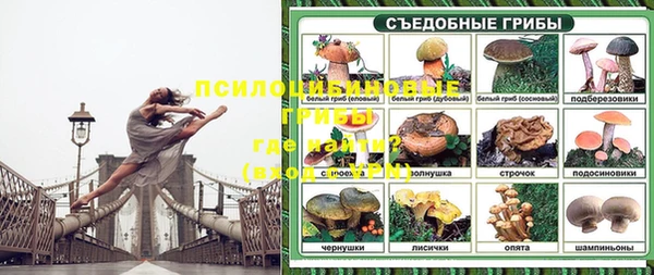 spice Елабуга
