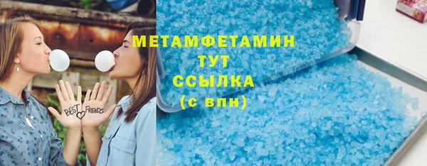 ГАЛЛЮЦИНОГЕННЫЕ ГРИБЫ Ельня