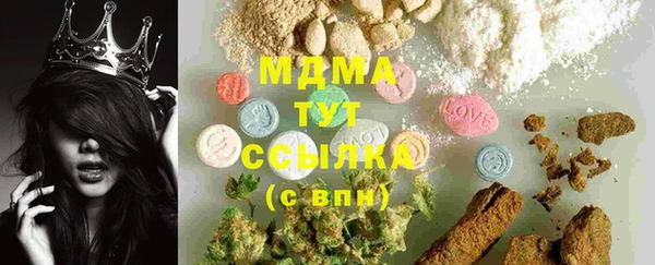 ГАЛЛЮЦИНОГЕННЫЕ ГРИБЫ Ельня