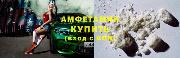 ГАЛЛЮЦИНОГЕННЫЕ ГРИБЫ Ельня